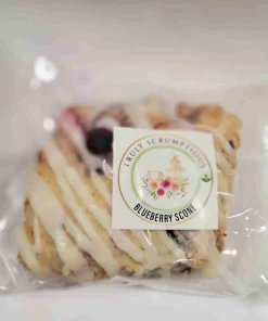 Truly Scrumptious Blueberry Scone (Vegan)